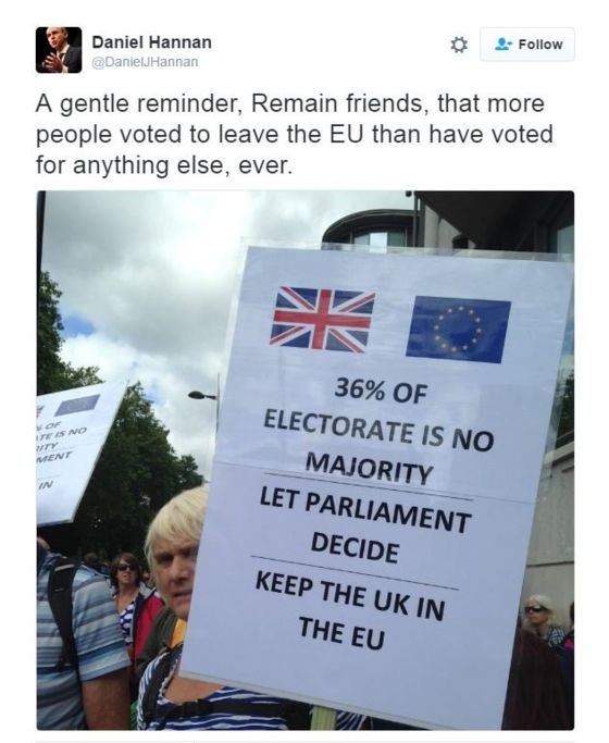 Three claims on a placard: "36% of the electorate is no majority. Let Parliament decide. Keep the UK in the EU." MEP Daniel Hannan responds by tweet that more people voted to leave the EU for anything else ever.