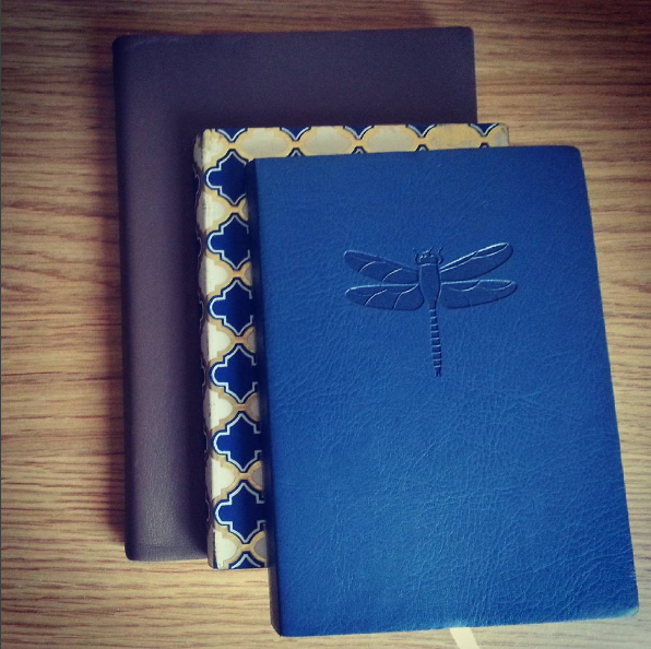 This last five months, I've worked across three journals: a beige one, one with a tesselated pattern on the cover, and a blue one an embossed dragonfly outline on the front.